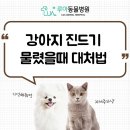 루아동물병원 이미지