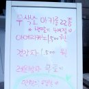 분당 수내역 마카롱 맛집 송송카롱 후기