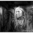 피어스와 시애틀 이미지