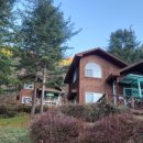 숲속의 집 이미지