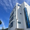 민들레미코 이미지