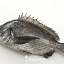 남양주 실내 바다낚시터 이미지