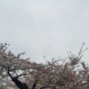 추억여행 Daum카페