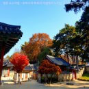 소수서원 관련 고문서 | 🍂 영주 소수서원 - 우리나라 최초의 서원에서 느끼는 고즈넉한 시간여행