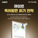 미르솔루션