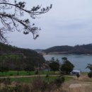 4월의밀밭 이미지