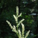 대황농장 이미지