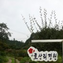 소아르미술관 이미지