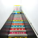 돌고래식당 이미지