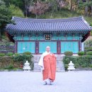 율사 이미지
