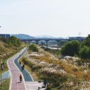 손짜장마을장가계