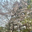 은하캠핑장 이미지