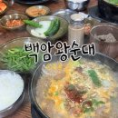 백암왕순대국 | [서울 중구] 충무로 백암왕순대 / 순대국 맛집 내돈내산 후기
