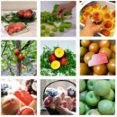 계림상회 이미지