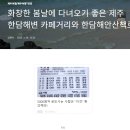 산책하러 다녀오기 좋은 한담해변 카페거리 등 펌글입니다 이미지