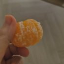 동인식품 | 진도 오션뷰 리조트 4인가족 1박 스위트 스탠다드 취사타입 숙소와 부산어묵 더펍 굿앤굿스 먹거리 후기