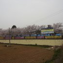 언암초등학교 이미지