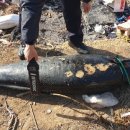 170.경찰서앞_1 이미지