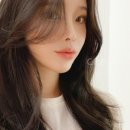 헤어341
