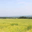 제주 부영호텔&리조트 이미지