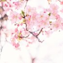 대봉숯불갈비 이미지