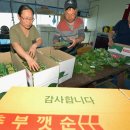 "농가 절반 1억 넘게 번다"…비싼 인삼 제치고 매출 1위 찍은 채소 이미지