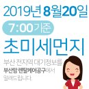 2019년 8월20일(화요일) 오전7:00 기준 부산전지역 초미세먼지 및 일일/주간 날씨정보 이미지