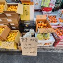 농수산물도매시장 채소2동_1 이미지