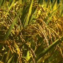 주영농산 이미지