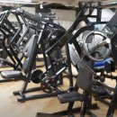 바디스미스 이미지