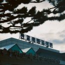 서천 판교 구 판교극장 | 충남 판교 맛집:: 여기 왜 안가? 대한민국 1티어 한식당 “천방 맛집”