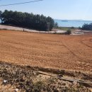 운남공인중개사사무소 이미지