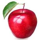 한 과일 이미지