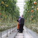 진안군농협조합공동사업법인 이미지