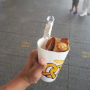 아토스코리아 송천지부 주짓수&유도 | 아토스 캠프 후기 / 플랜비주짓수 / 개봉주짓수