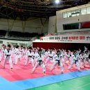 2017년 제2회 태권도고수회 동계훈련 캠프-참가자 단체사진 이미지