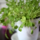 세종연세소아청소년과의원 이미지