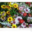 세림약국 이미지