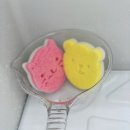 뽀송 애견미용 이미지