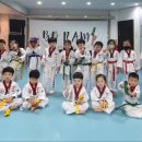 경희대 보람 태권도장 네이버블로그