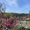 소박한밥상 이미지