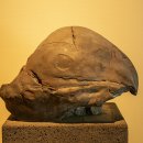 제주돌박물관 이미지