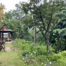 치악산한증막 이미지