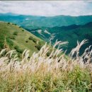 증산-016 이미지