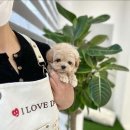 만남-행복한꿈 이미지