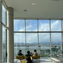 리버레인 이미지