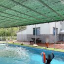 돌고래풀하우스 이미지