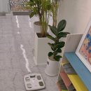 러브필라테스 이미지