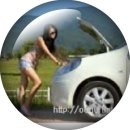 도일렌터카 이미지