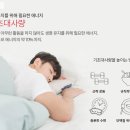 데마시안 | 칼로몬 잔티젠 다이어트 데마시안샵 입점